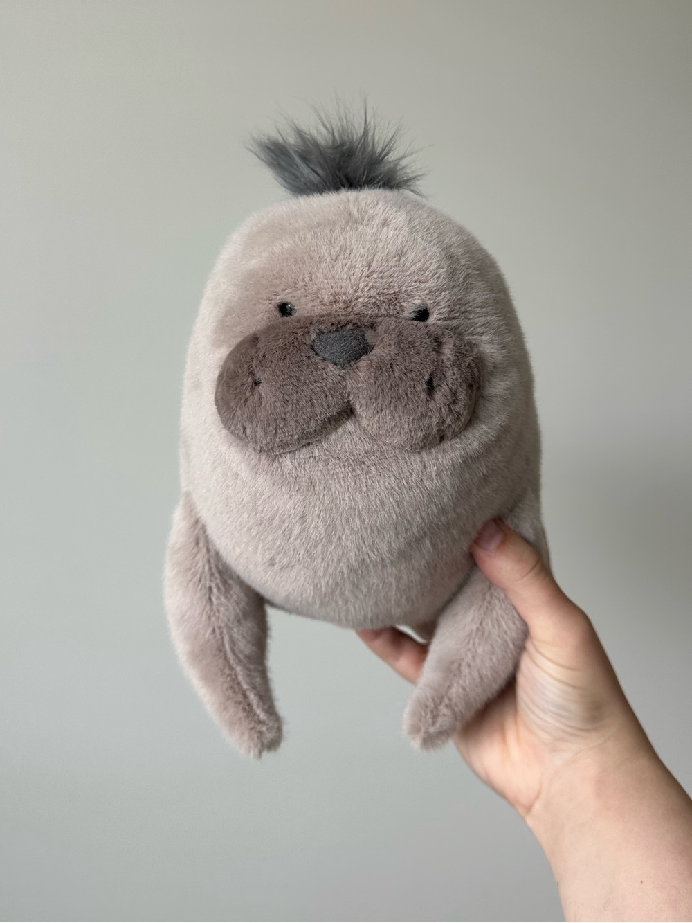 Jellycat Roarwell Sea Lion